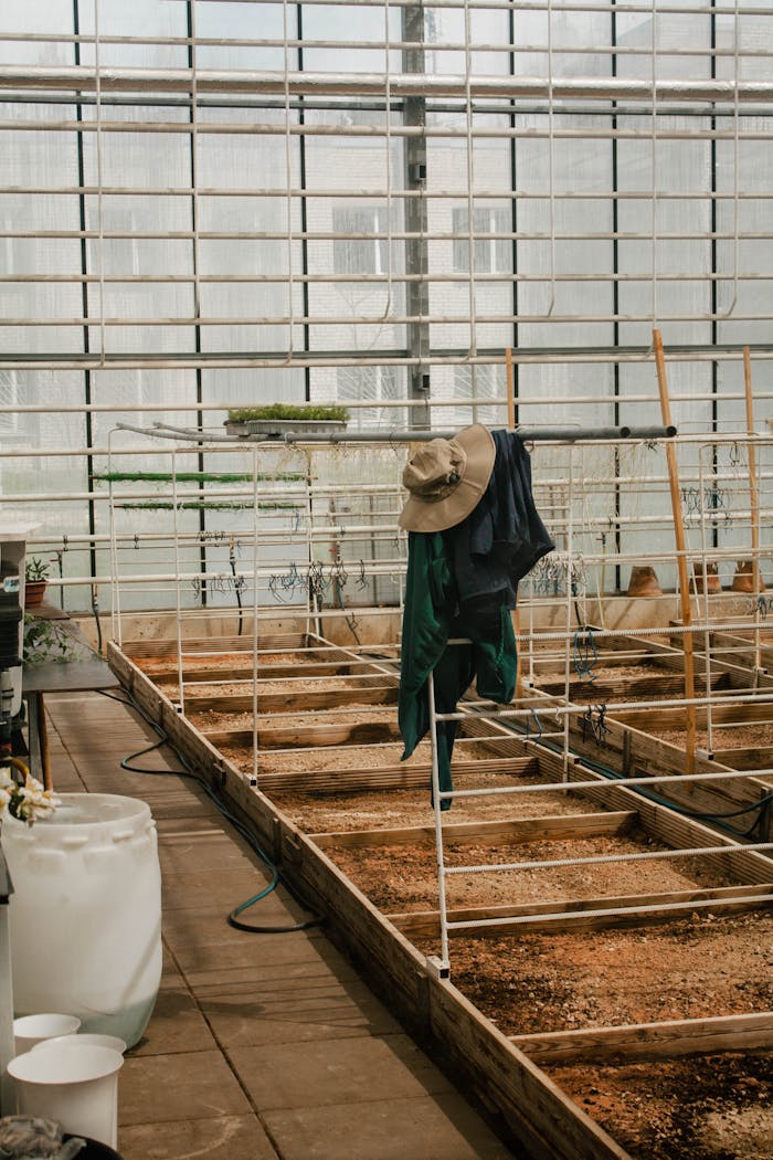 Interior of an organic greenhouse with gardening tools and pots, suitable for farming and plantations.