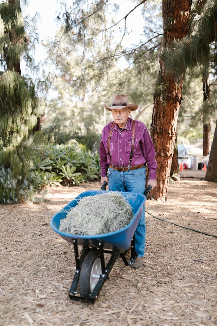 Elderly man wearing cowboy hat pushing a wheelbarrow filled with hay on a farm.